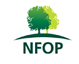 Image for Providing welfare services and support to scheme members