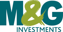 Image for Discovering gems in emerging markets