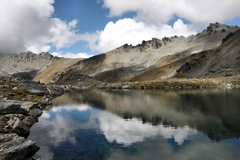 Image for New Zealand